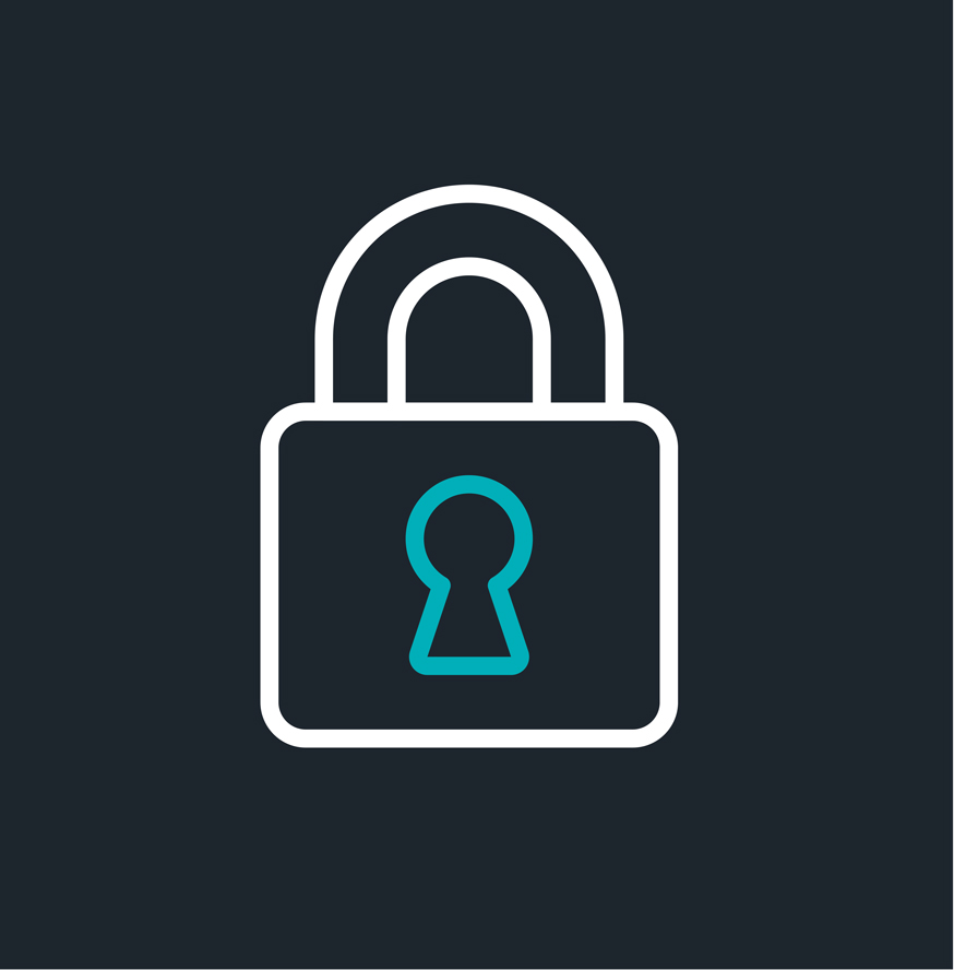 Overdraft protection icon