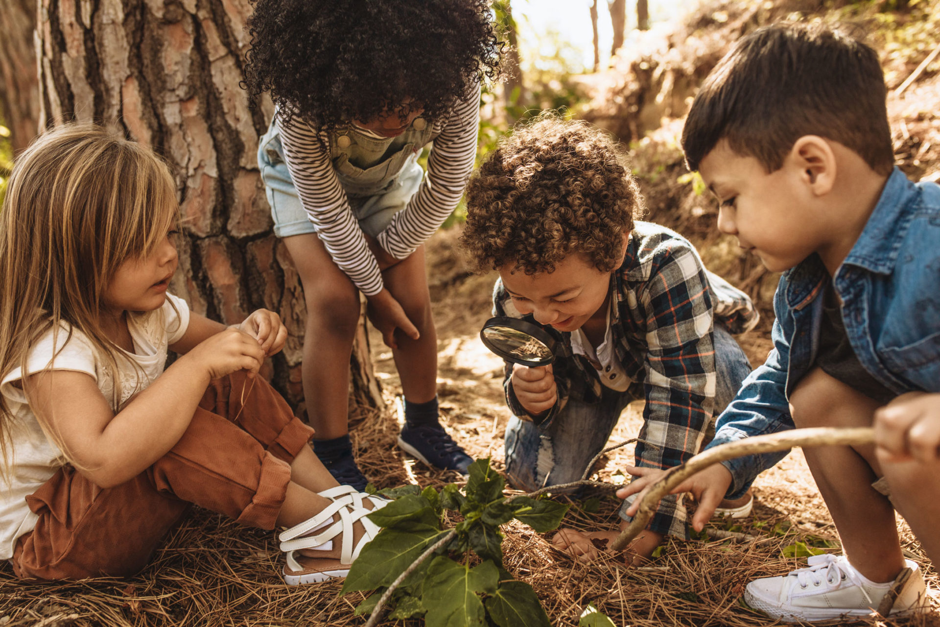 kids playing in forest